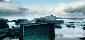 كنز المشاعر