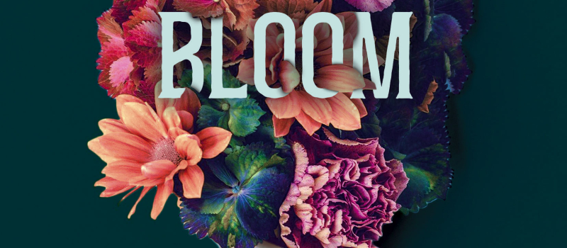 Bloom
